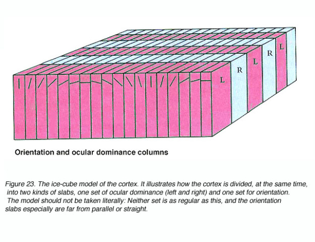 Columns 1