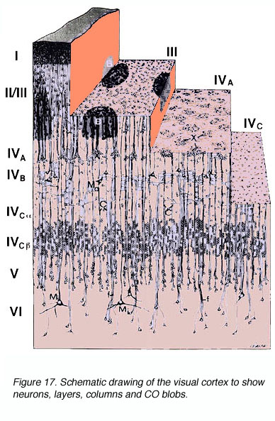 Layers 3